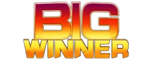 bigwinner Where Learning Morphs Into Life Projects