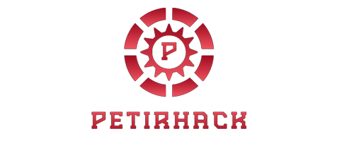 petir+hack Where Learning Morphs Into Life Projects